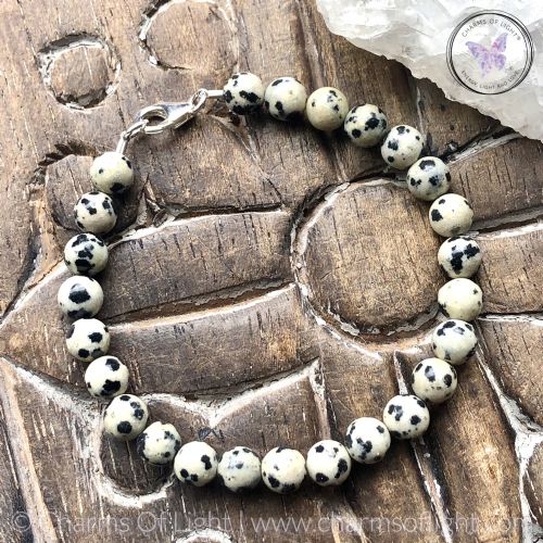 Classical Dalmation Jasper Healing Bracelet